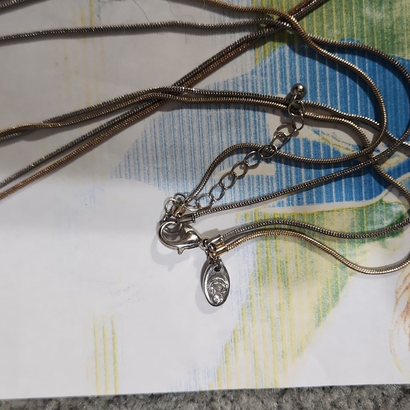 Charming Charlie two toned necklace - Picture 3 of 4